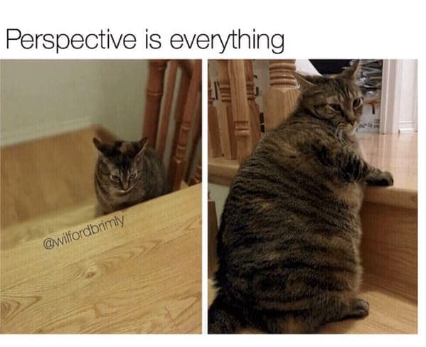 dating memes, Sideways swipes, romantic follies, love's little misadventures, contemporary courtship