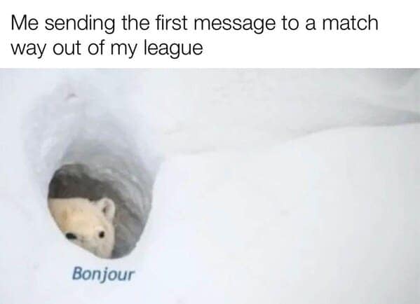 dating memes, Sideways swipes, romantic follies, love's little misadventures, contemporary courtship