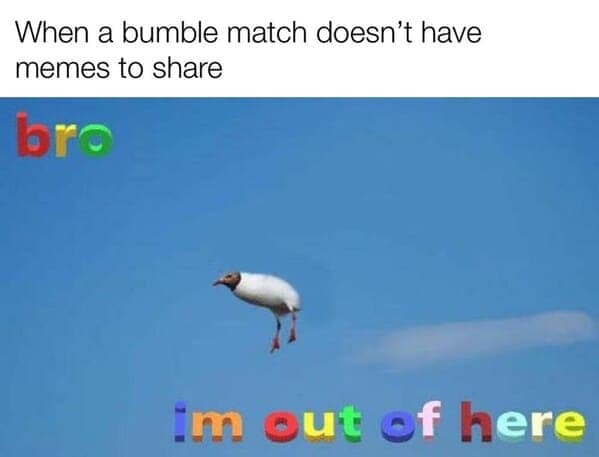 dating memes, Sideways swipes, romantic follies, love's little misadventures, contemporary courtship