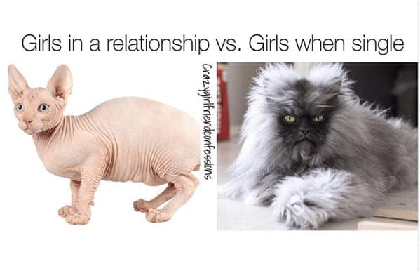 dating memes, Sideways swipes, romantic follies, love's little misadventures, contemporary courtship