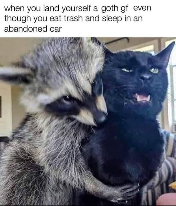 when you land yourself a goth gf even though you eat trash and sleep in an abandoned car