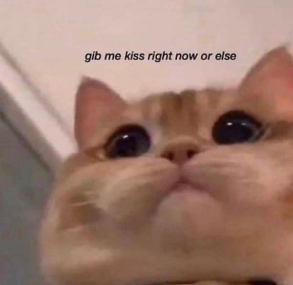 gib me kiss right now or else