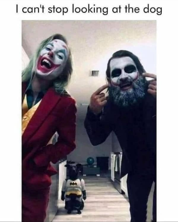 dog memes, funny dog memes, doggo memes, dog lover memes, dog humor, funny pet memes, canine memes, puppy jokes, funny doggo posts