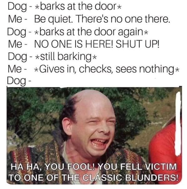 dog memes, funny dog memes, doggo memes, dog lover memes, dog humor, funny pet memes, canine memes, puppy jokes, funny doggo posts