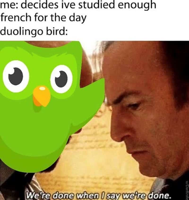 me: decides ive studied enough french for the day duolingo bird: