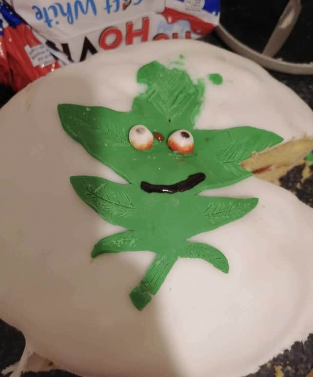 failed cakes, cake fails, cake disasters, baking fails, frosting fails, cake decorating fails