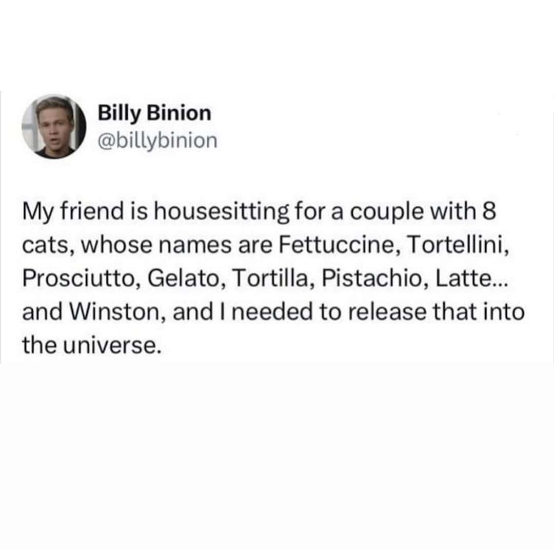 food memes, food tweets, cooking jokes, food obsession, cuisine memes, gastronomic gags, dieting humor