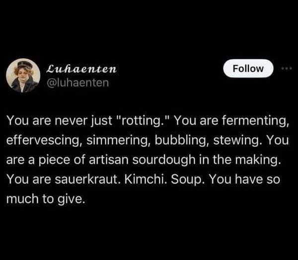You are never just "rotting." You are fermenting, effervescing, simmering, bubbling, stewing. You are a piece of artisan sourdough in the making. You are sauerkraut. Kimchi. Soup. You have so much to give.