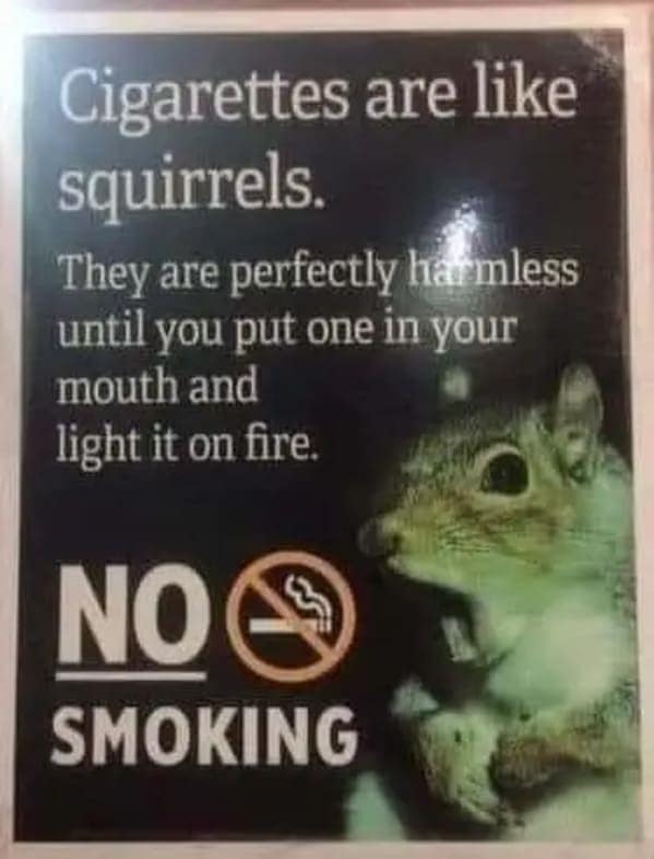 Cigarettes are like squirrels. They are perfectly harmless until you put one in your mouth and light it on fire.