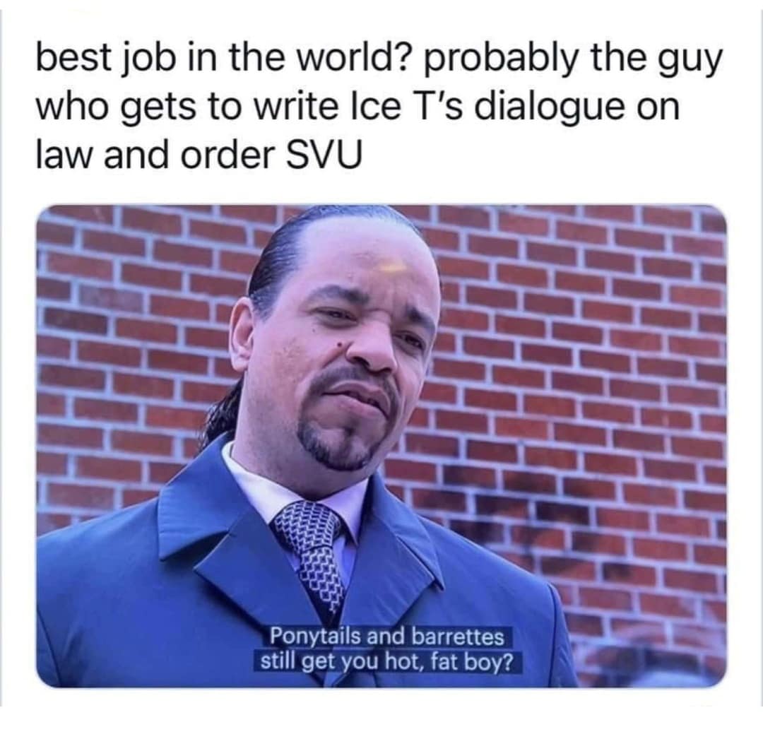 best job in the world? probably the guy who gets to write Ice T's dialogue on law and order SVU Ponytails and barrettes still get you hot, fat boy?