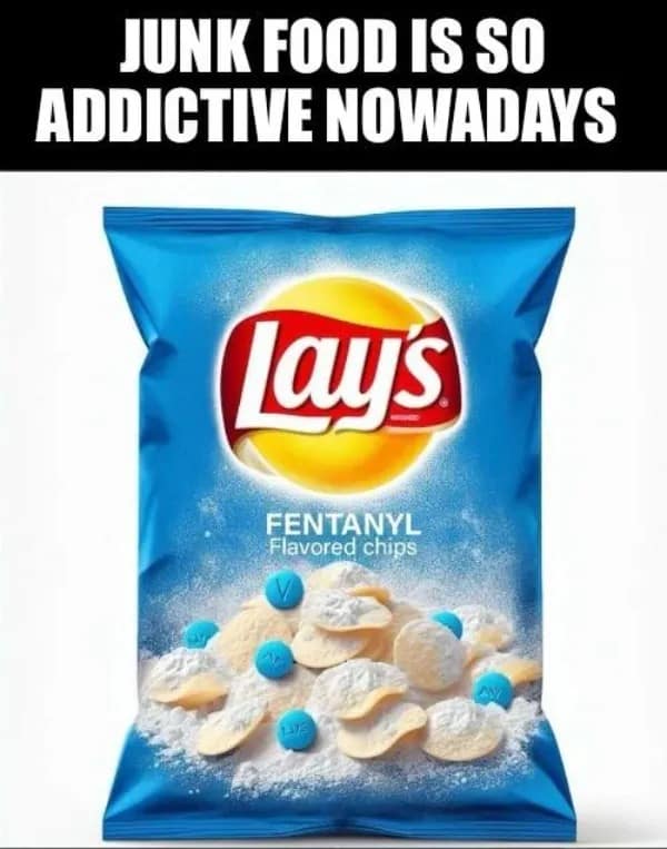 JUNK FOOD IS SO ADDICTIVE NOWADAYS