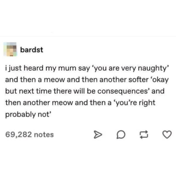 just heard my mum say 'you are very naughty' and then a meow and then another softer 'okay but next time there will be consequences' and then another meow and then a 'you're right probably not'