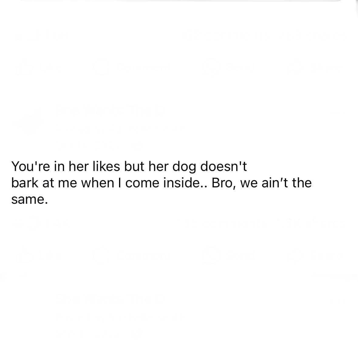 You're in her likes but her dog doesn't bark at me when I come inside.. Bro, we ain't the same.
