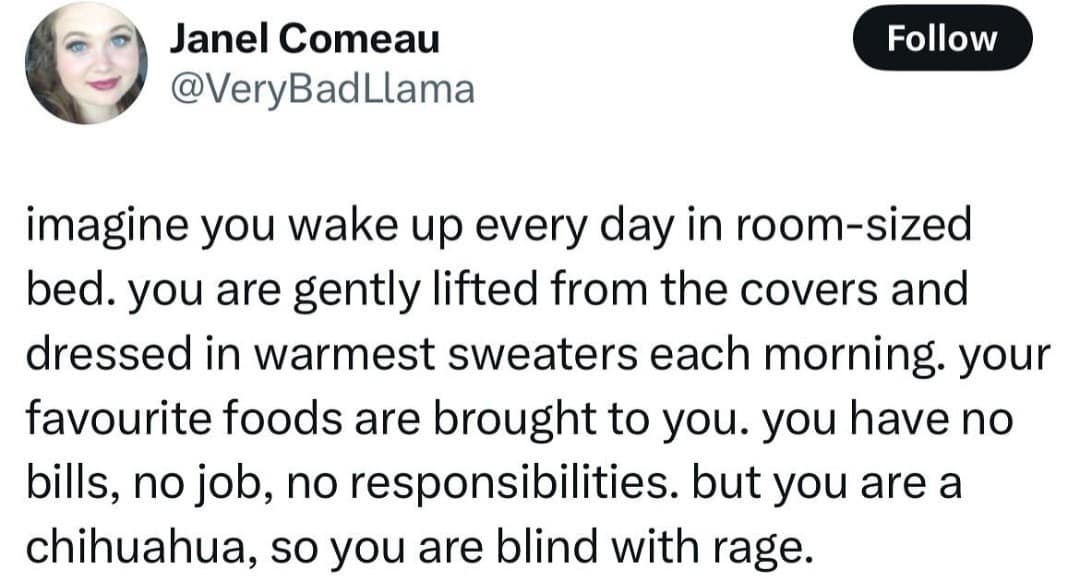 funny memes, funny images, funny pics, funny pictures