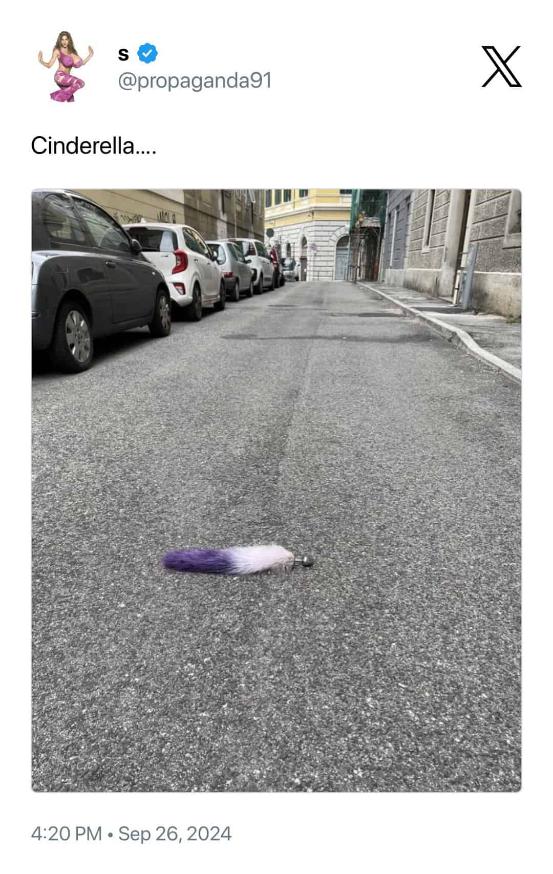 they got crocs for dogs