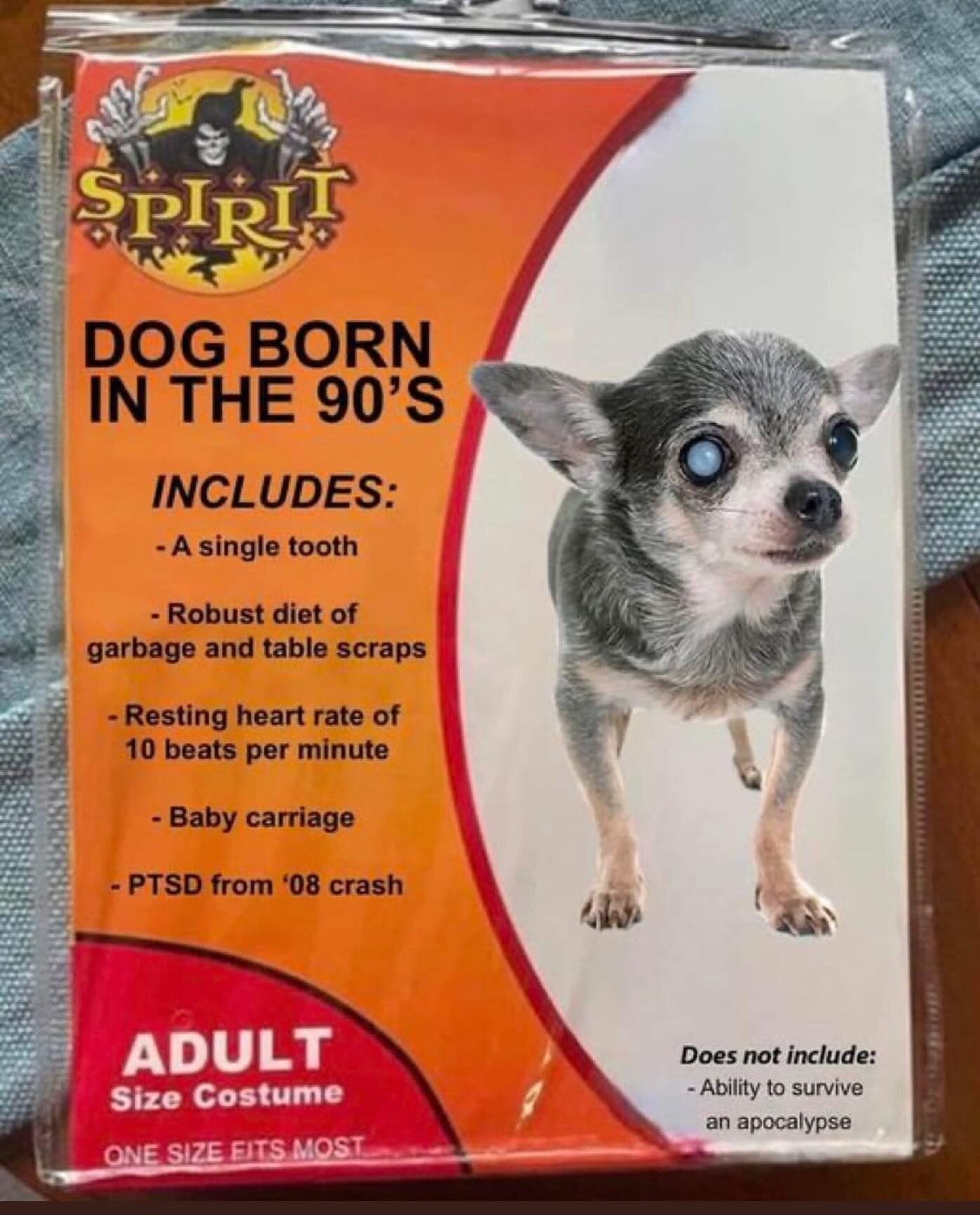 DOG BORN IN THE 90'S INCLUDES: - A single tooth - Robust diet of garbage and table scraps - Resting heart rate of 10 beats per minute - Baby carriage