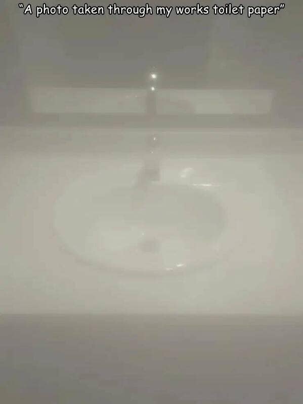 "A photo taken through my works toilet paper"