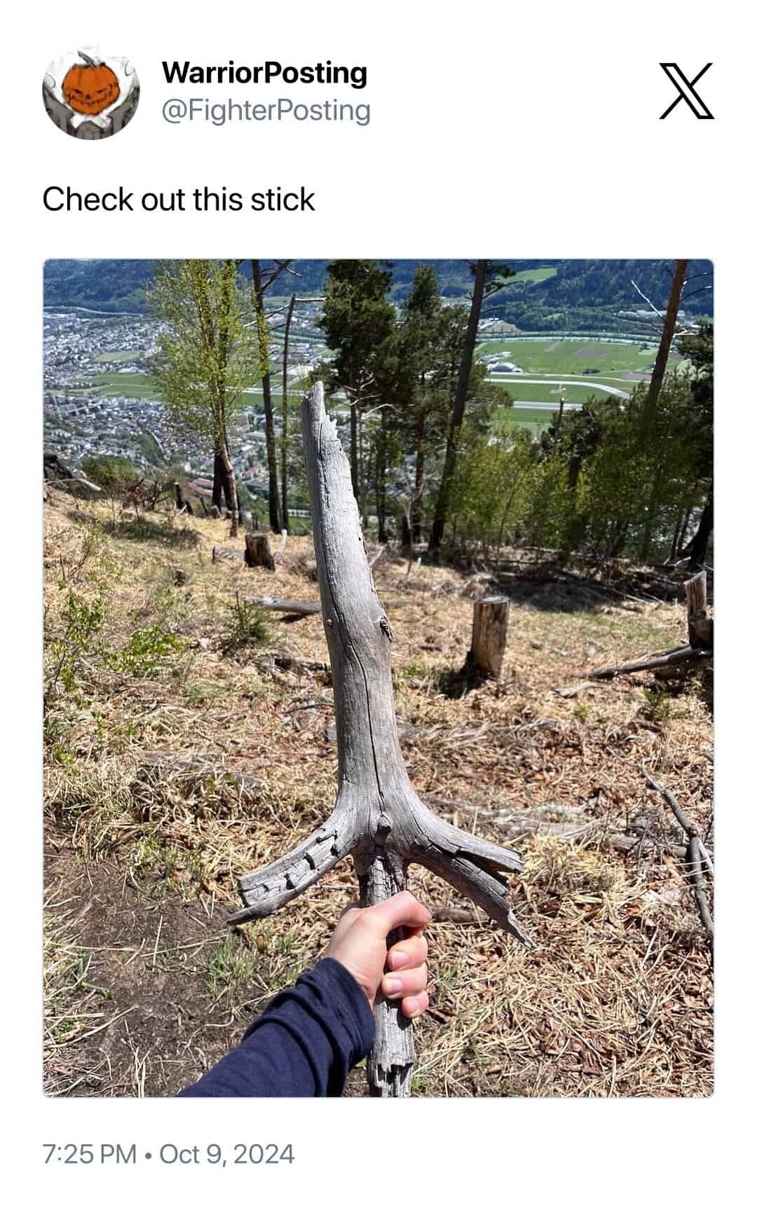 Check out this stick