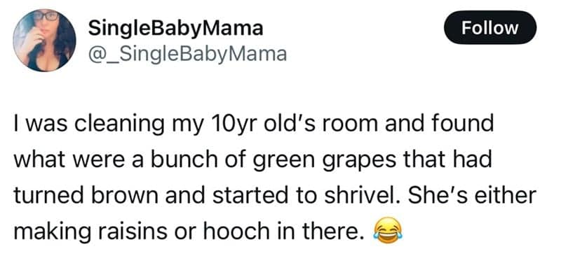 I was cleaning my 10yr old's room and found what were a bunch of green grapes that had turned brown and started to shrivel. She's either making raisins or hooch in there.