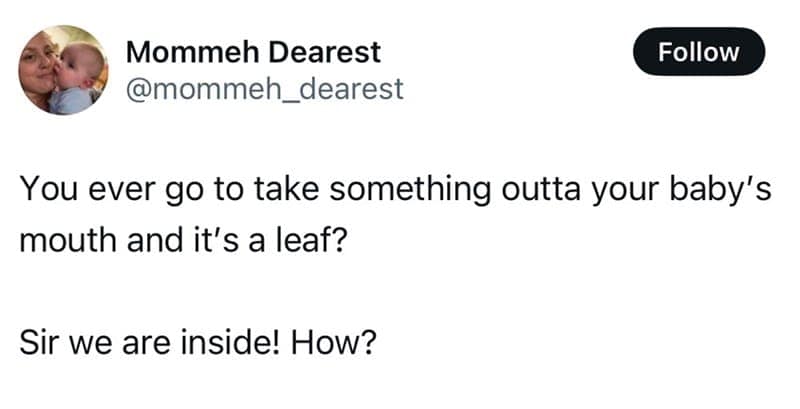 You ever go to take something outta your baby's mouth and it's a leaf? Sir we are inside! How?