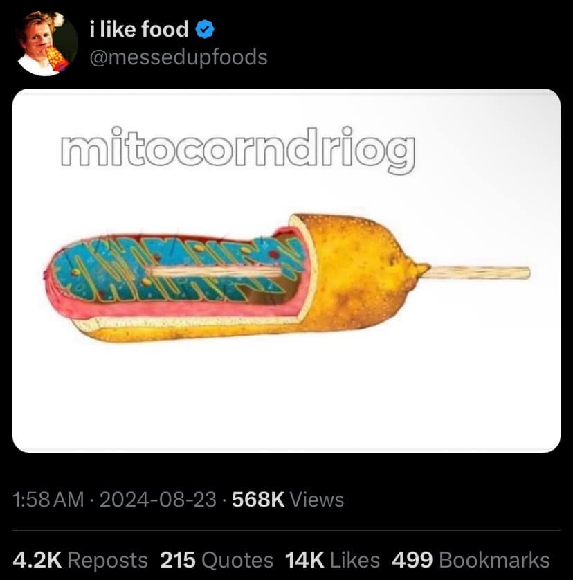 funny pics, funny memes, funny photos, funniest pics