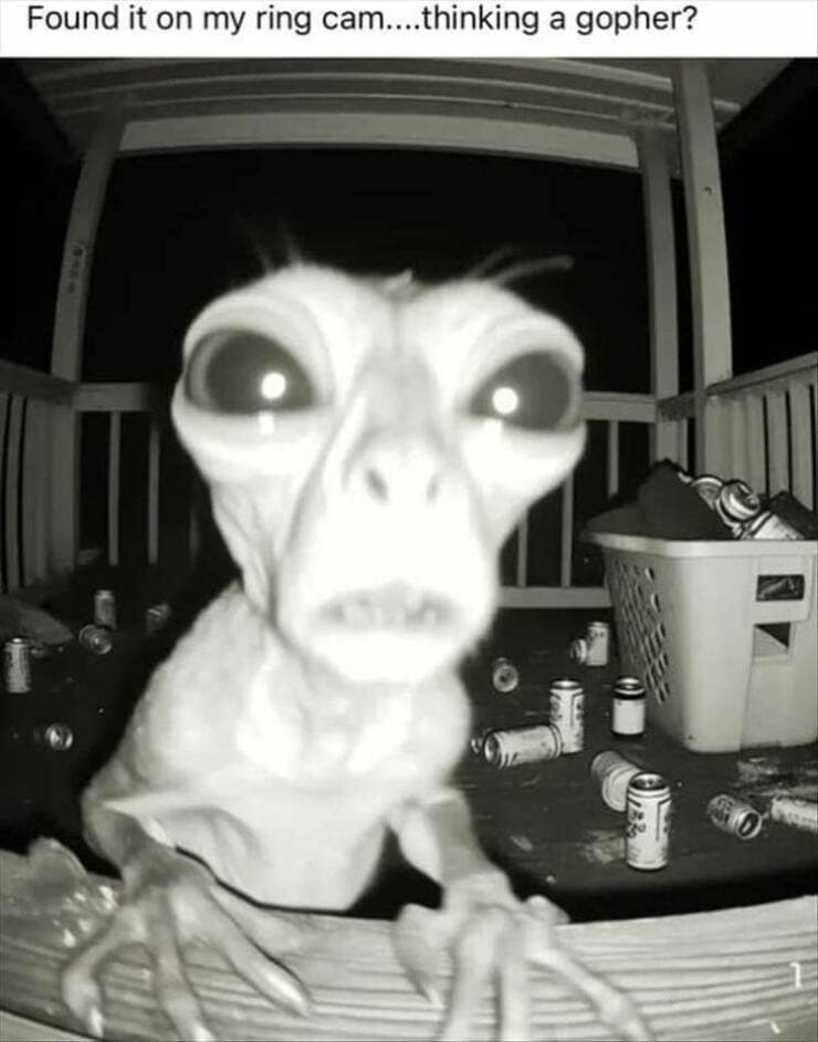 Found it on my ring cam....thinking a gopher?
