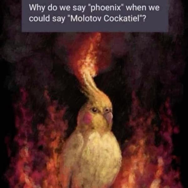 Why do we say "phoenix" when we could say "Molotov Cockatiel"?