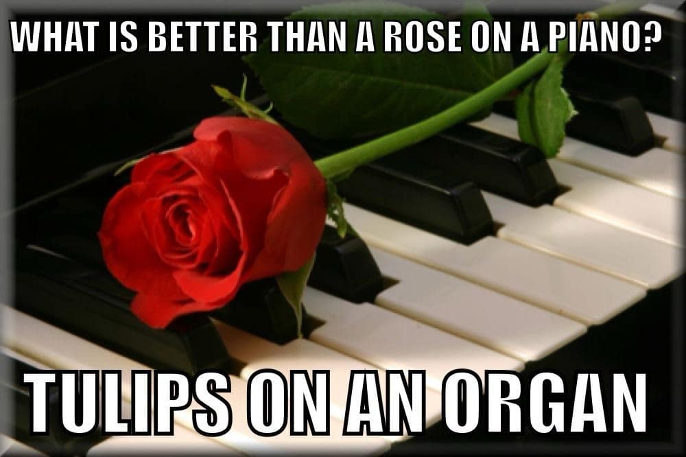 WHAT IS BETTER THAN A ROSE ON A PIANO? TULIPS ON AN ORGAN