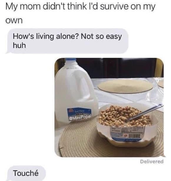 My mom didn't think I'd survive on my own How's living alone? Not so easy huh eMisiPopal Delivered Touché