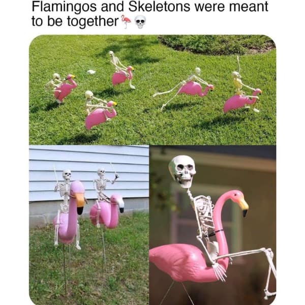 Flamingos and Skeletons were meant to be together