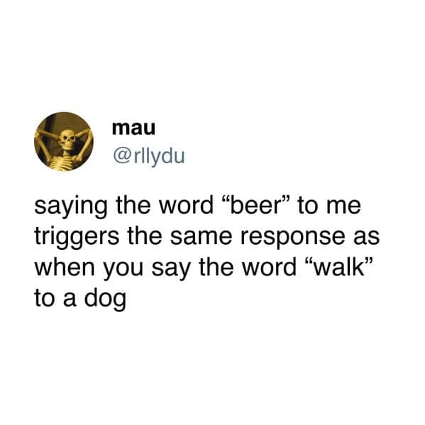 saying the word "beer" to me triggers the same response as when you say the word "walk" to a dog