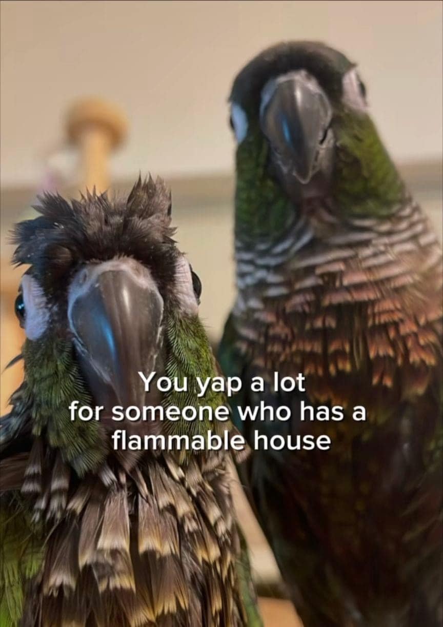 You yap a lot for someone who has a flammable house