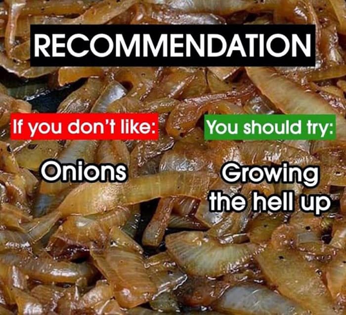 RECOMMENDATION If you don't like: Onions You should try: Growing the hell up