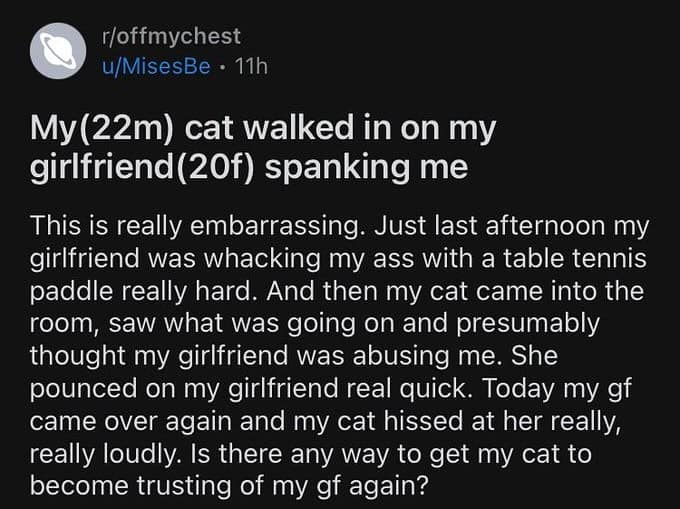 funny pics, funny memes, funny photos, funniest pics