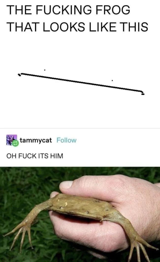 funny pics, funny memes, funny photos, funniest pics