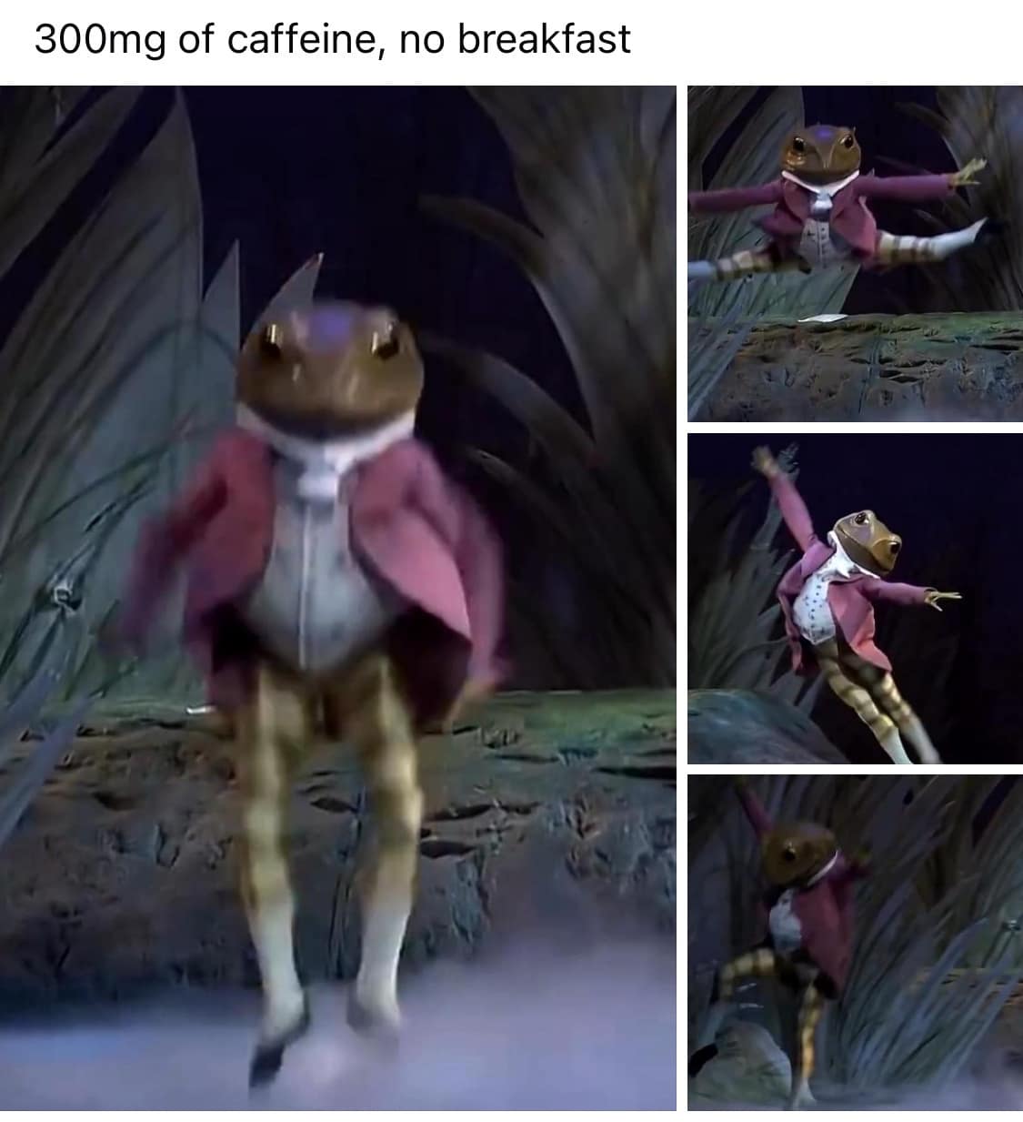 funny pics, funny memes, funny photos, funniest pics