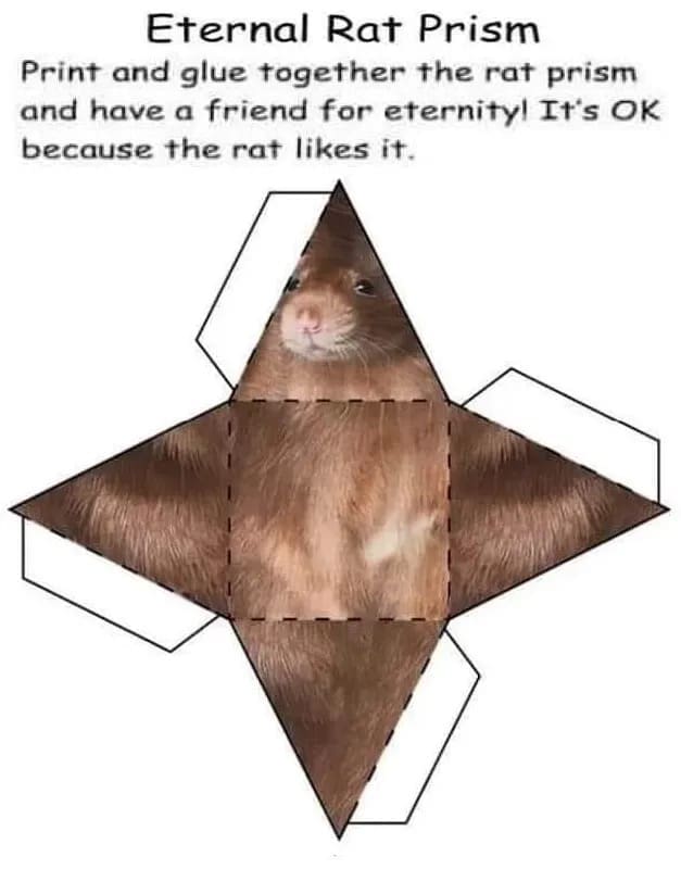 funny images, funny pics, funny pictures