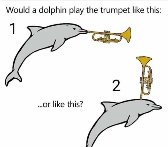 funny images, funny pics, funny pictures