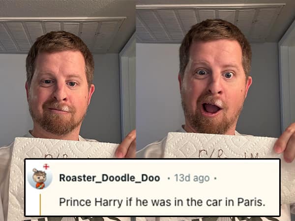 funny roasts, savage roasts, funny insults