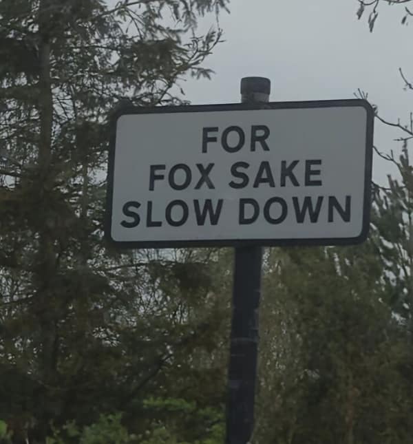 funny signs, hilarious signs, store signs, restaurant signs, funny shop signs, quirky signs, funny notices, hilarious signage, funny public signs, laugh-out-loud signs