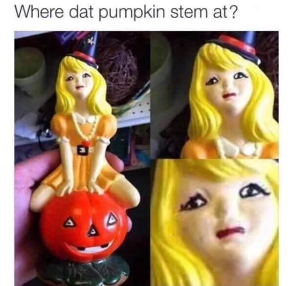 Where dat pumpkin stem