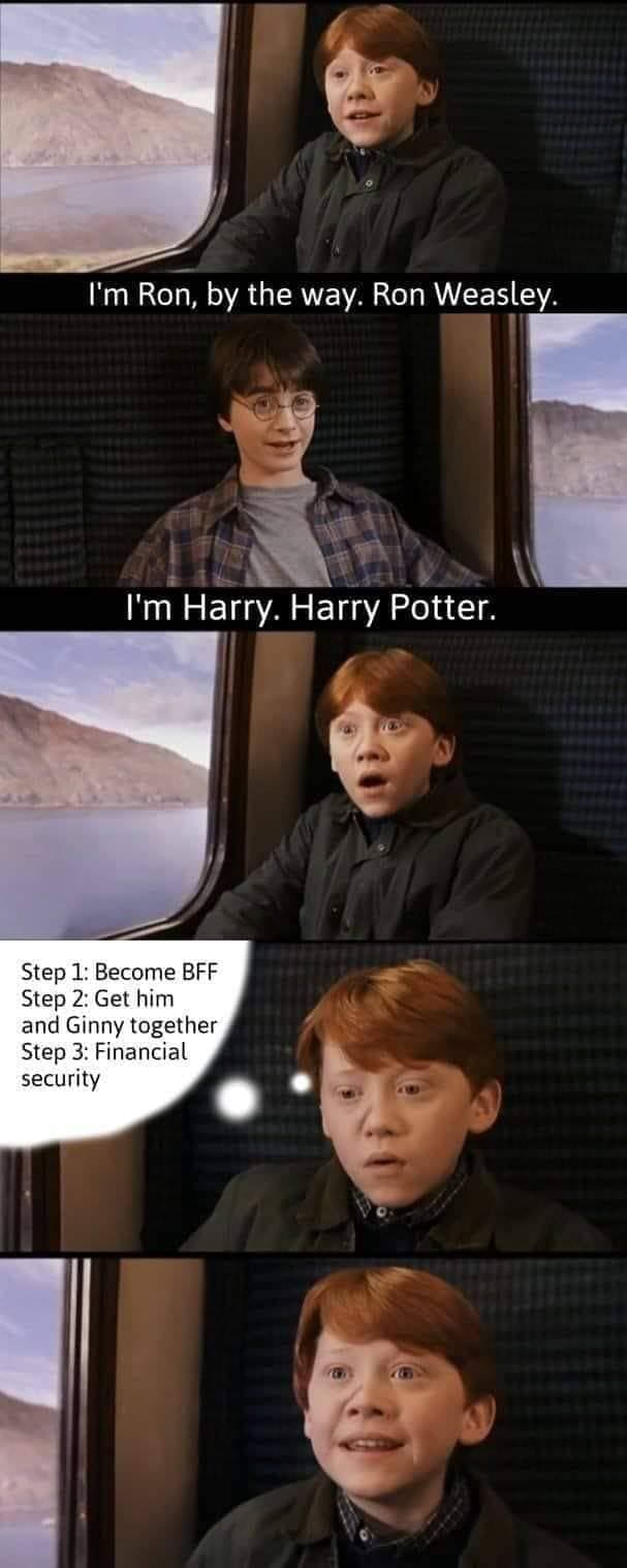 I'm Ron, by the way. Ron Weasley. I'm Harry. Harry Potter. Step 1: Become BFF Step 2: Get him and Ginny together Step 3: Financial security