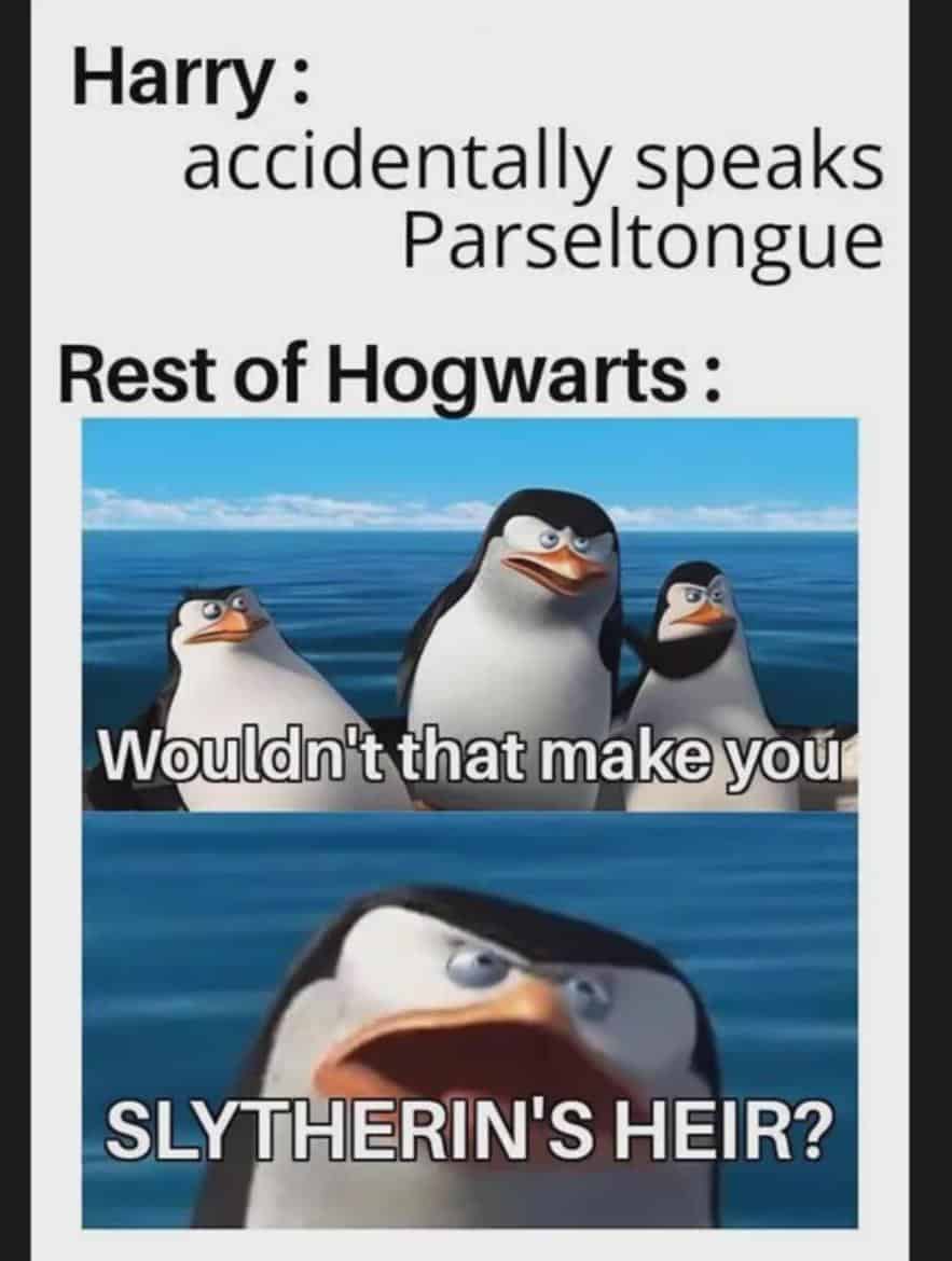 Harry: accidentally speaks Parseltongue Rest of Hogwarts: Wouldn't that make you SLYTHERIN'S HEIR?