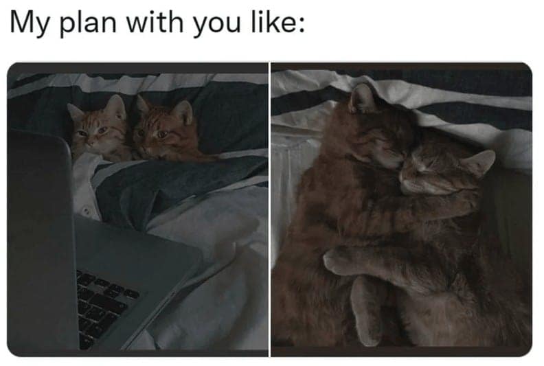 My plan with you like: