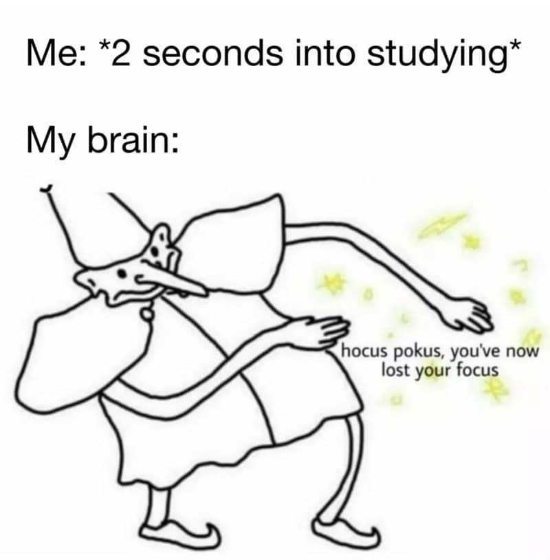 introvert memes, social anxiety memes, Social Anxiety, Introvert Life, Recharge, Socially Awkward, Quiet People, Recharge Energy