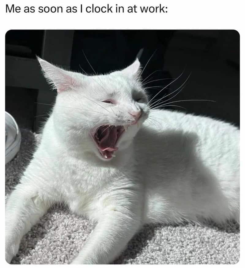 introvert memes, social anxiety memes, Social Anxiety, Introvert Life, Recharge, Socially Awkward, Quiet People, Recharge Energy