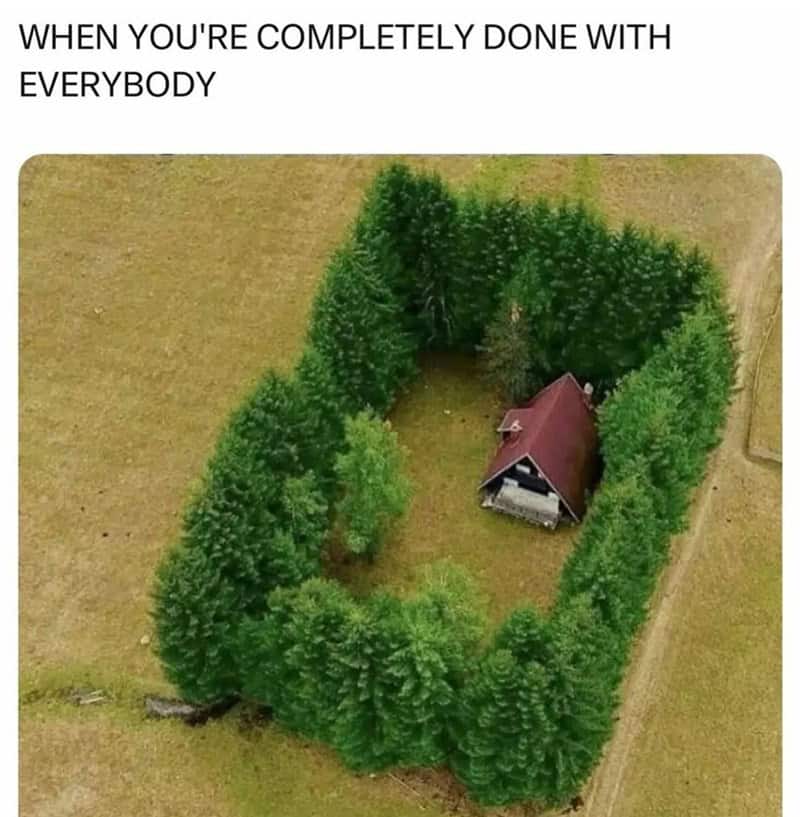 introvert memes, social anxiety memes, Social Anxiety, Introvert Life, Recharge, Socially Awkward, Quiet People, Recharge Energy