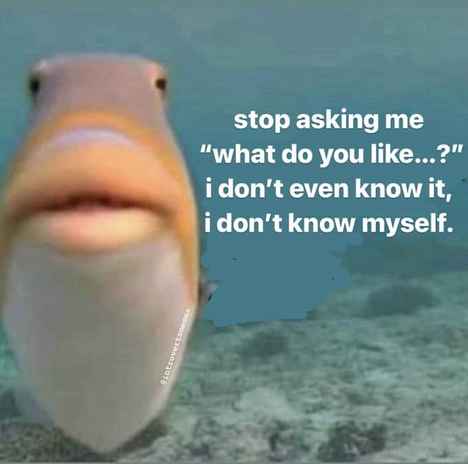 introvert memes, social anxiety memes, Social Anxiety, Introvert Life, Recharge, Socially Awkward, Quiet People, Recharge Energy