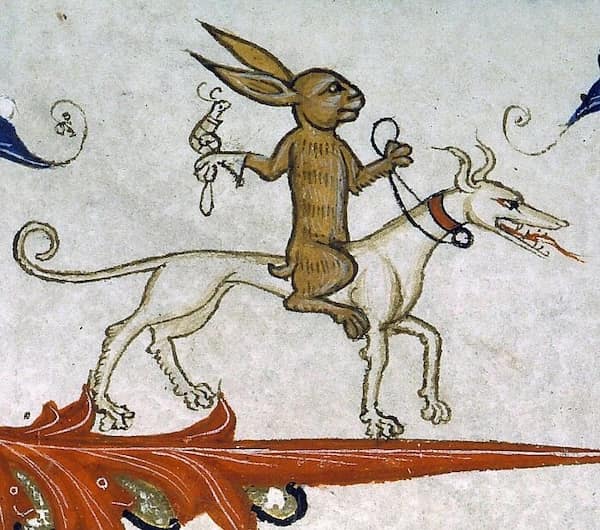 medieval animals, medieval art fails, medieval illustrations, strange historical depictions, historical art humor