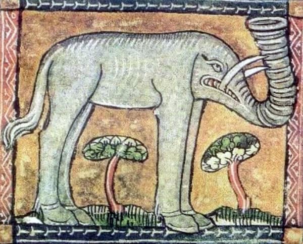 medieval animals, medieval art fails, medieval illustrations, strange historical depictions, historical art humor